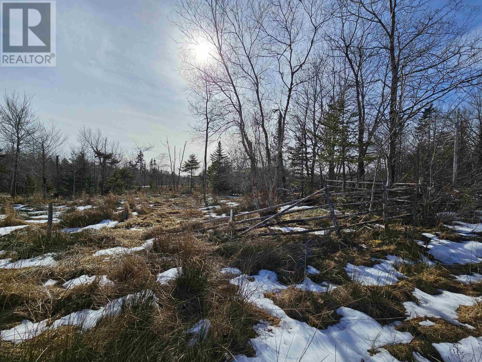 1007 Canaan Road, Canaan, Nova Scotia  B0J 1J0 - Photo 22 - 202404088