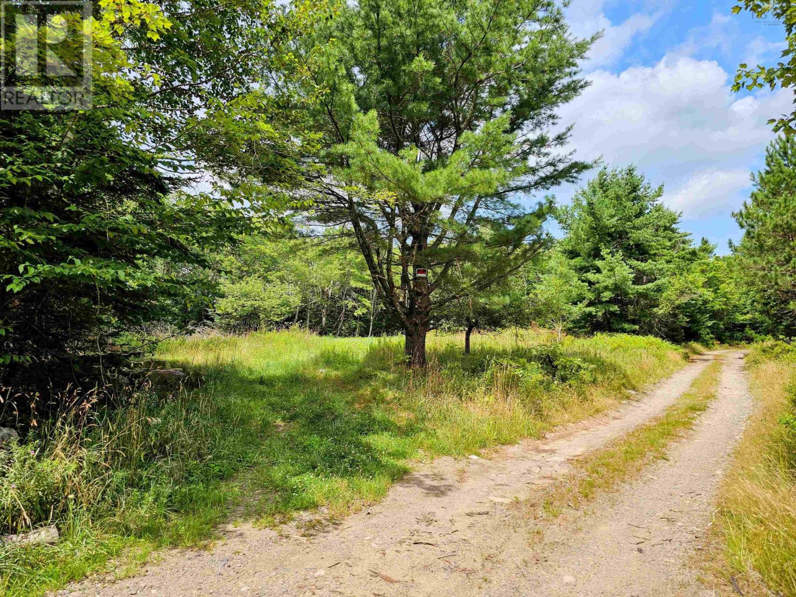 1007 Canaan Road, Canaan, Nova Scotia  B0J 1J0 - Photo 5 - 202404088