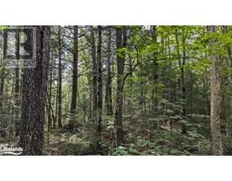 LOT 2 LIMBERLOST Road