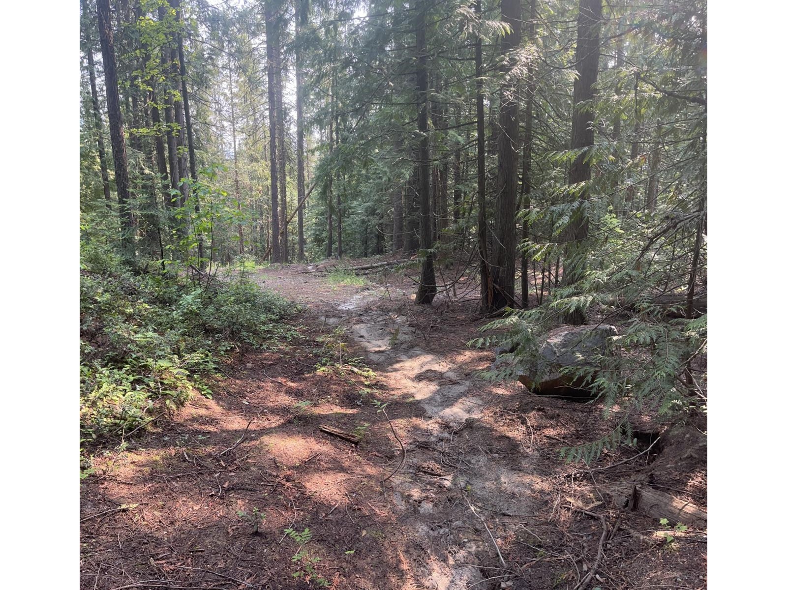 Lot 2 Drake's Road, Rossland, British Columbia  V0G 1Y0 - Photo 34 - 2471608