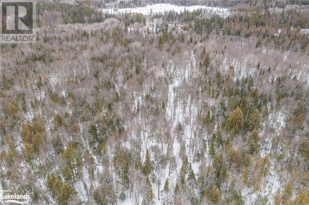 00 Fern Glen Road, Emsdale, Ontario  P0A 1J0 - Photo 10 - 40548494