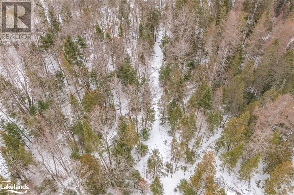 00 Fern Glen Road, Emsdale, Ontario  P0A 1J0 - Photo 12 - 40548494