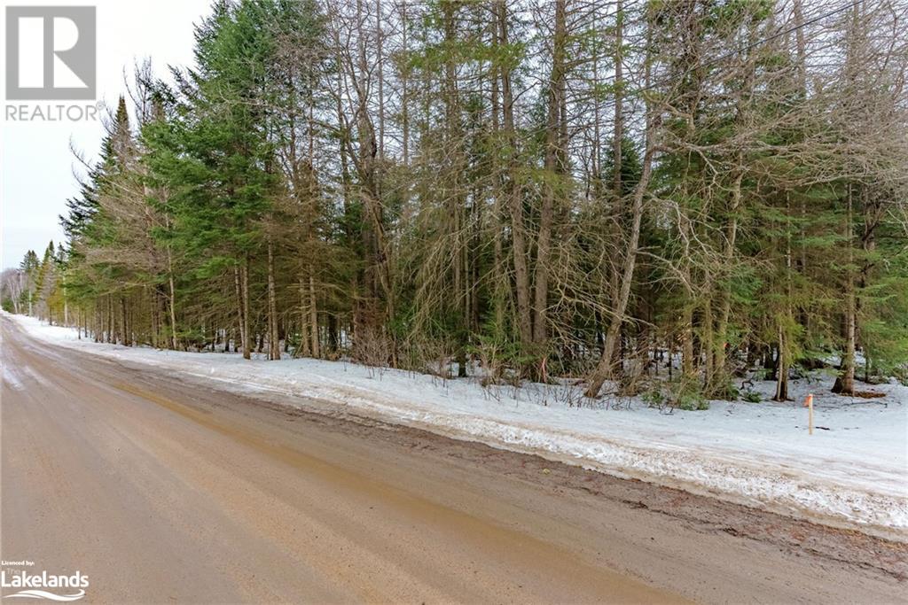 00 Fern Glen Road, Emsdale, Ontario  P0A 1J0 - Photo 13 - 40548494