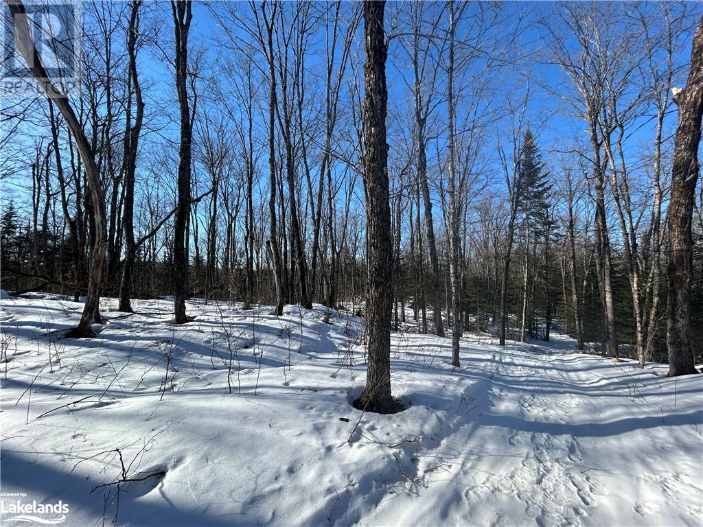 00 Fern Glen Road, Emsdale, Ontario  P0A 1J0 - Photo 14 - 40548494