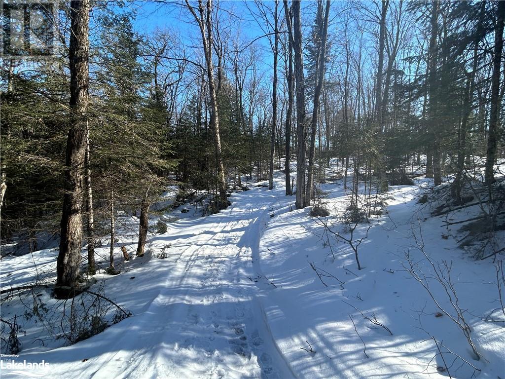 00 Fern Glen Road, Emsdale, Ontario  P0A 1J0 - Photo 15 - 40548494