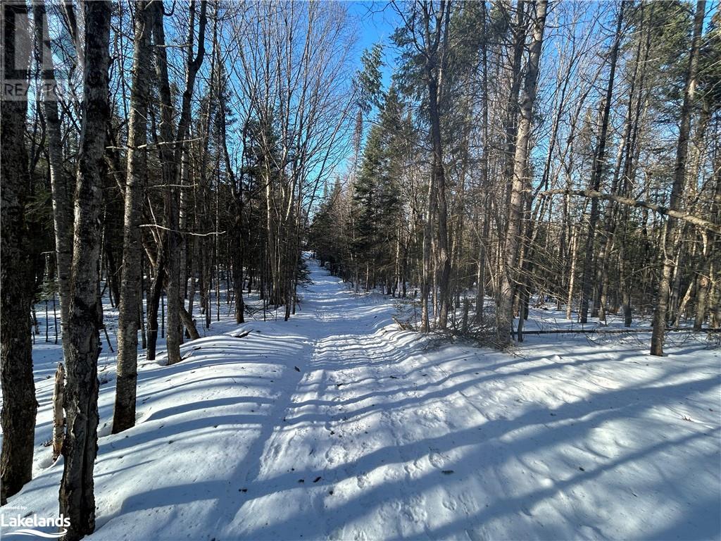 00 Fern Glen Road, Emsdale, Ontario P0A 1J0 (26593734)