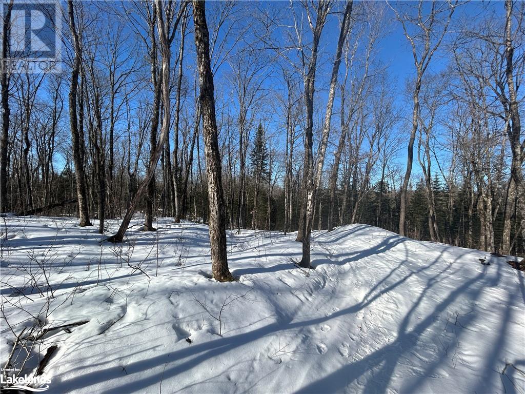 00 Fern Glen Road, Emsdale, Ontario  P0A 1J0 - Photo 17 - 40548494