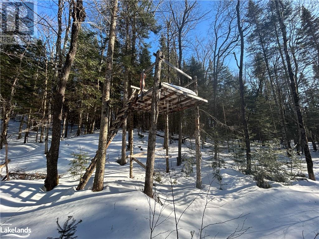 00 Fern Glen Road, Emsdale, Ontario  P0A 1J0 - Photo 19 - 40548494