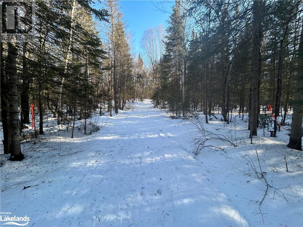 00 Fern Glen Road, Emsdale, Ontario  P0A 1J0 - Photo 21 - 40548494