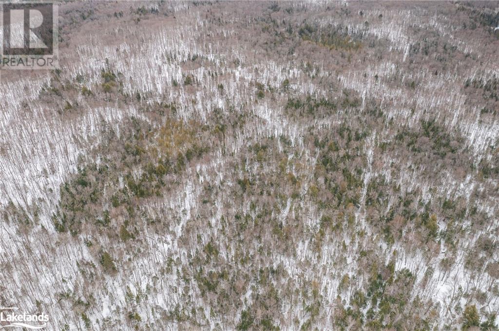 00 Fern Glen Road, Emsdale, Ontario  P0A 1J0 - Photo 7 - 40548494