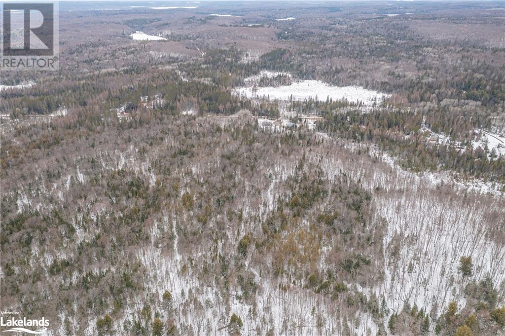 00 Fern Glen Road, Emsdale, Ontario  P0A 1J0 - Photo 9 - 40548494