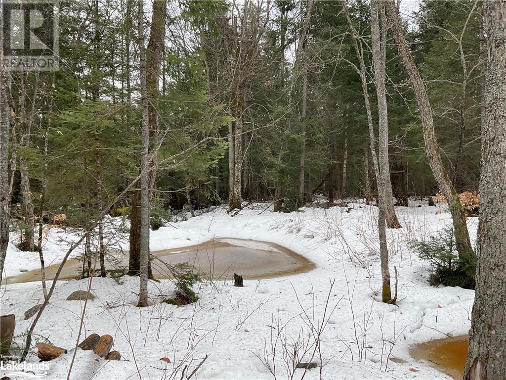 13 Cloverhill Road, Magnetawan, Ontario  P0A 1Z0 - Photo 11 - 40550606