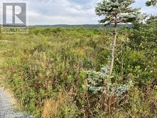 737 Conception Bay Highway, Spaniards Bay, A0A3X0, ,Vacant land,For sale,Conception Bay,1268502