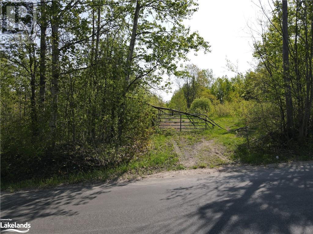 0 Ferguson Road, Burk's Falls, Ontario  P0A 1C0 - Photo 27 - 40551166