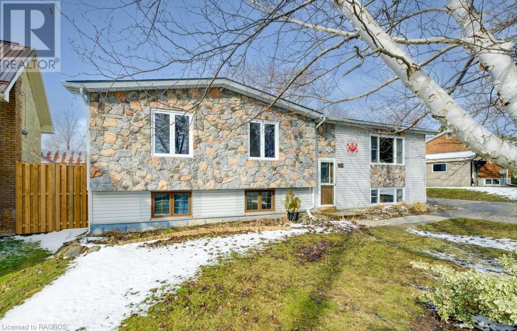 154 Queen Street S, Paisley, Ontario N0G 2N0 (26561631) Ron Hopper