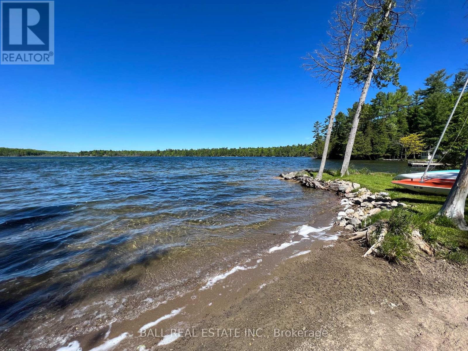 154 Julian Lake Road, North Kawartha, Ontario  K0L 3E0 - Photo 5 - X8125270