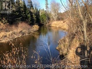 3227 Route 495, South Branch, New Brunswick  E4W 3L6 - Photo 2 - M157813