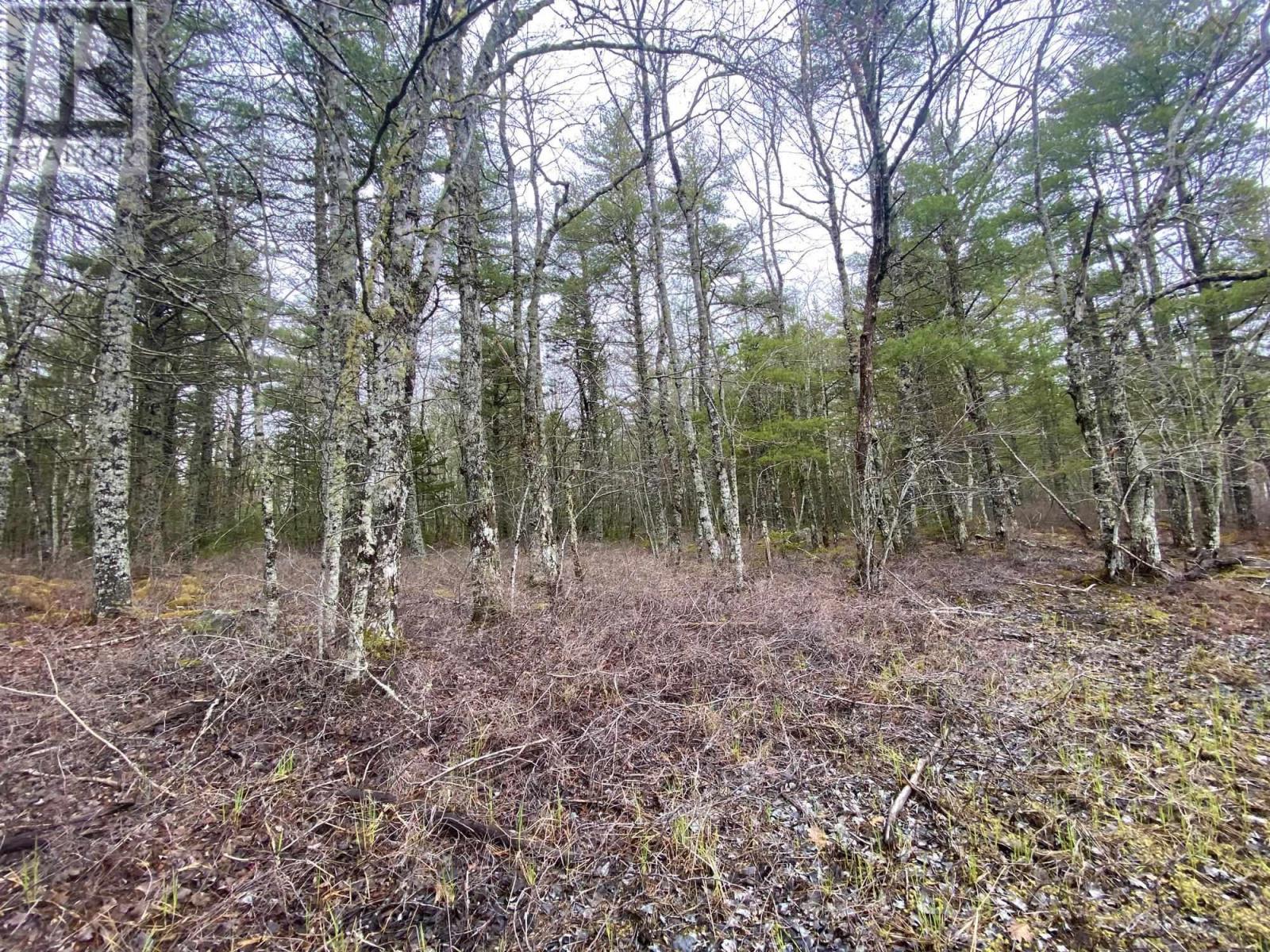 11 Peters Point Roads, South Brookfield, Nova Scotia  B0T 1X0 - Photo 5 - 202404208