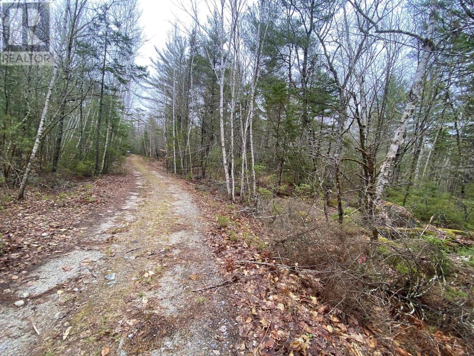 11 Peters Point Roads, South Brookfield, Nova Scotia  B0T 1X0 - Photo 8 - 202404208