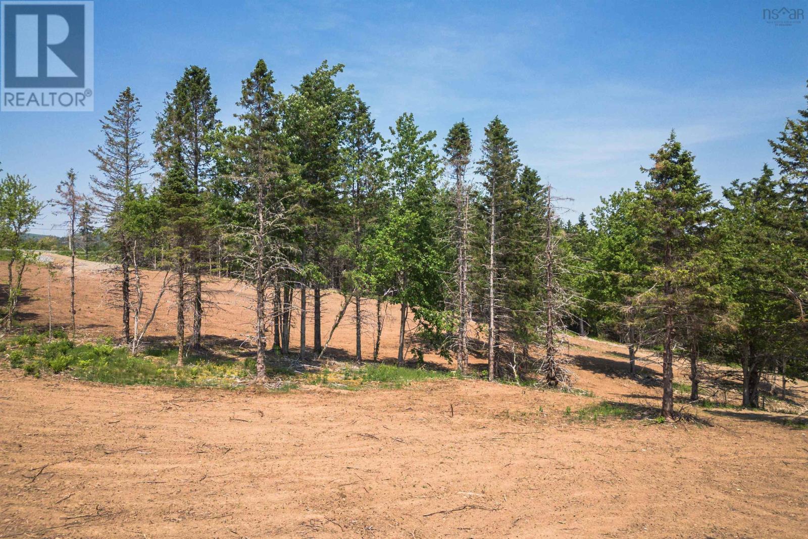 Lot 2 Highway 19, Hawleys Hill, Mabou, Nova Scotia  B0E 1X0 - Photo 9 - 202404217