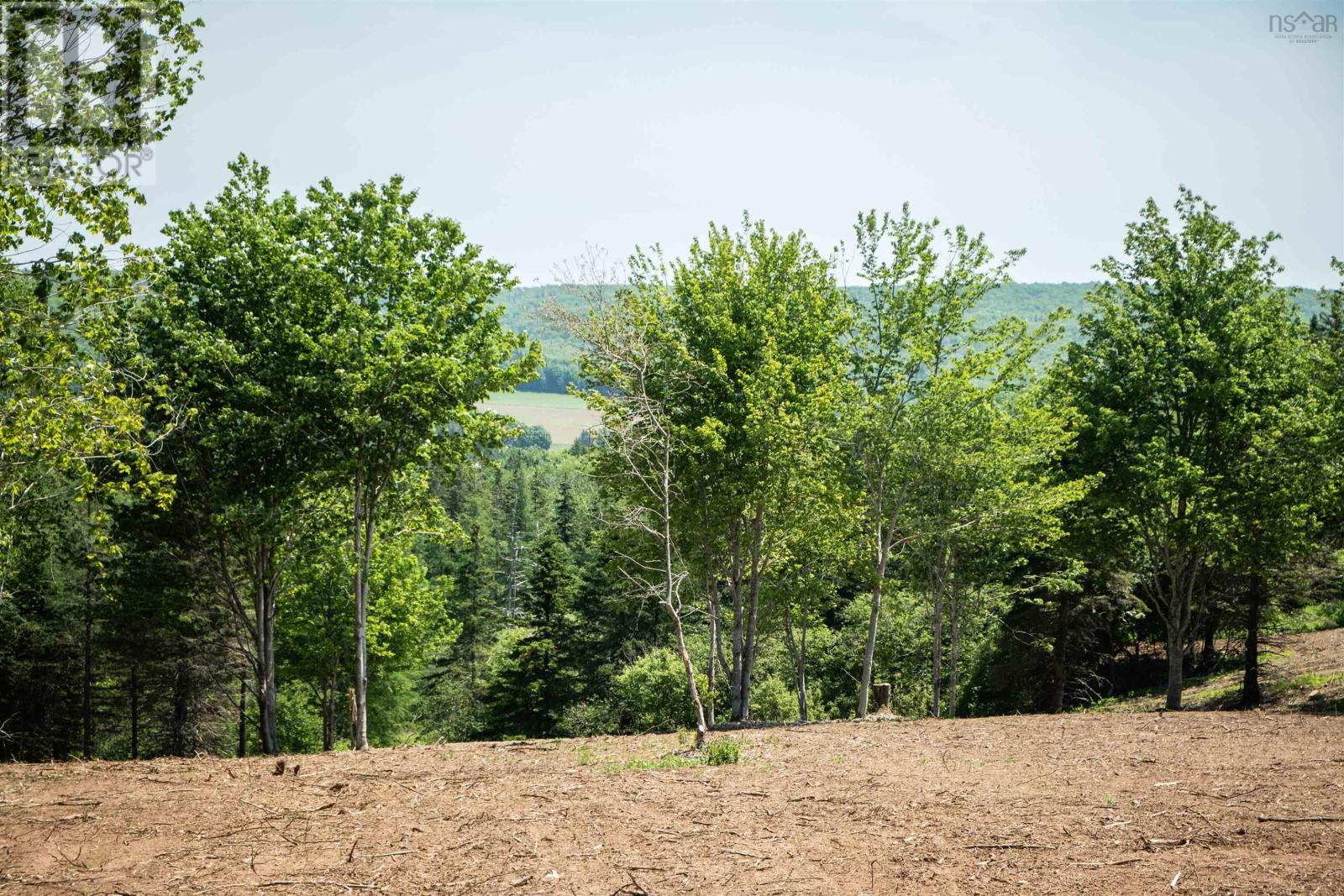 Lot 3 Highway 19, Hawleys Hill, Mabou, Nova Scotia  B0E 1X0 - Photo 10 - 202404218