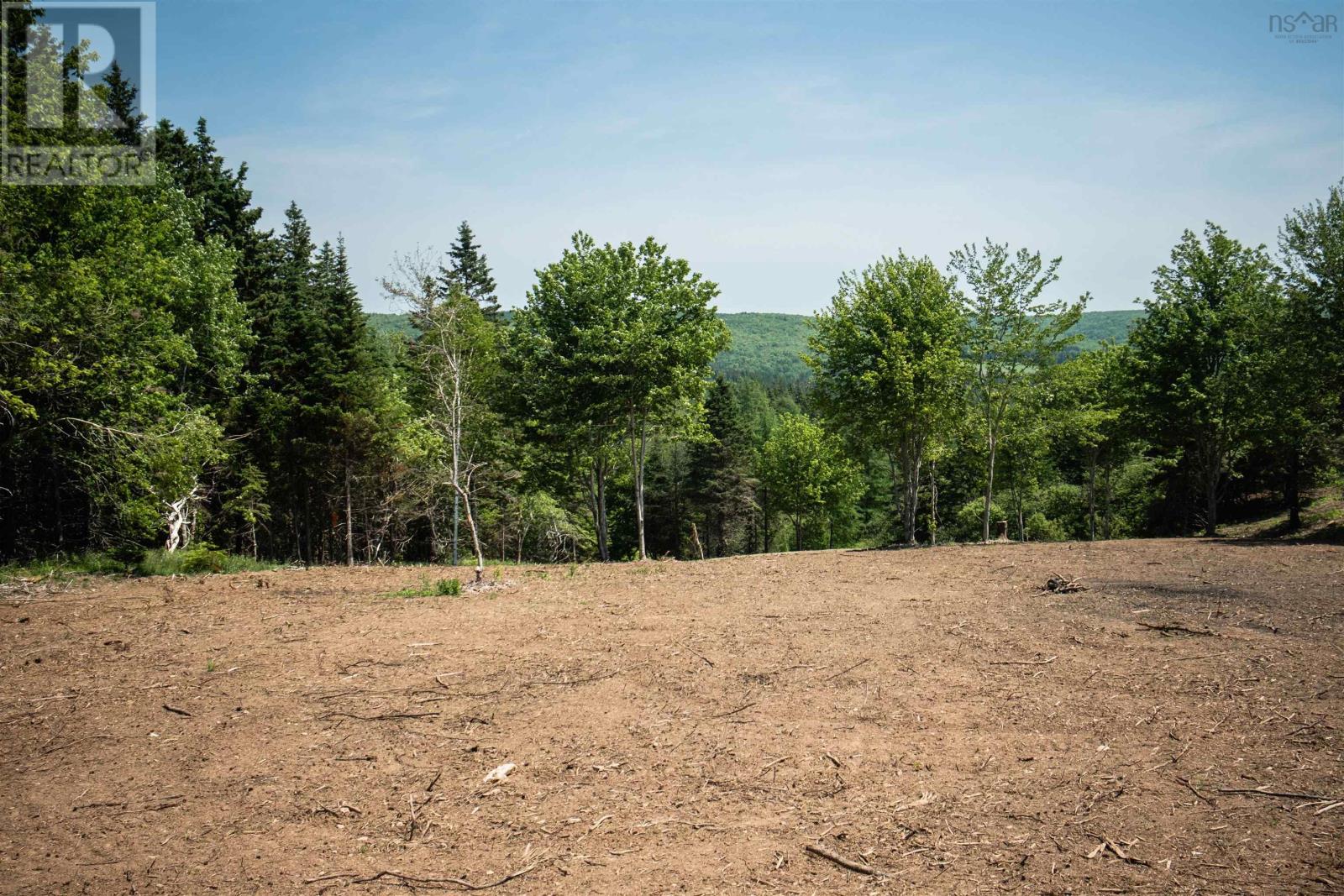 Lot 3 Highway 19, Hawleys Hill, Mabou, Nova Scotia  B0E 1X0 - Photo 6 - 202404218