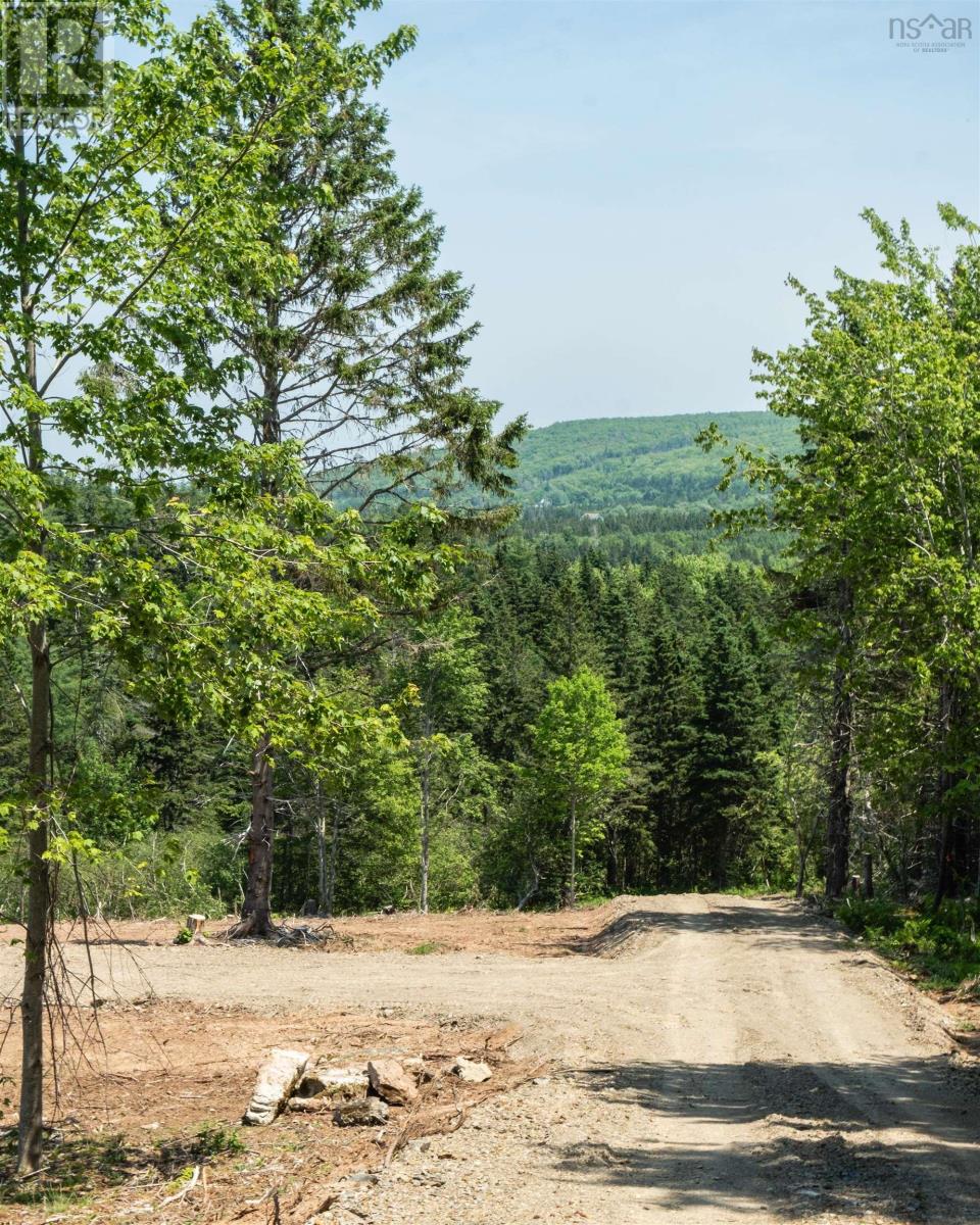 Lot 4 Highway 19, Hawleys Hill, Mabou, Nova Scotia  B0E 1X0 - Photo 5 - 202404215