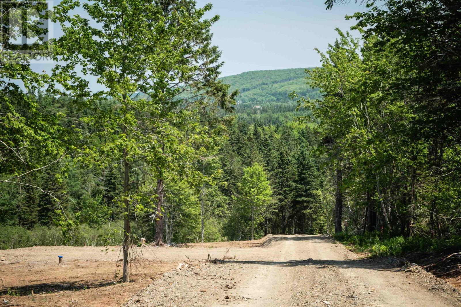Lot 4 Highway 19, Hawleys Hill, Mabou, Nova Scotia  B0E 1X0 - Photo 6 - 202404215