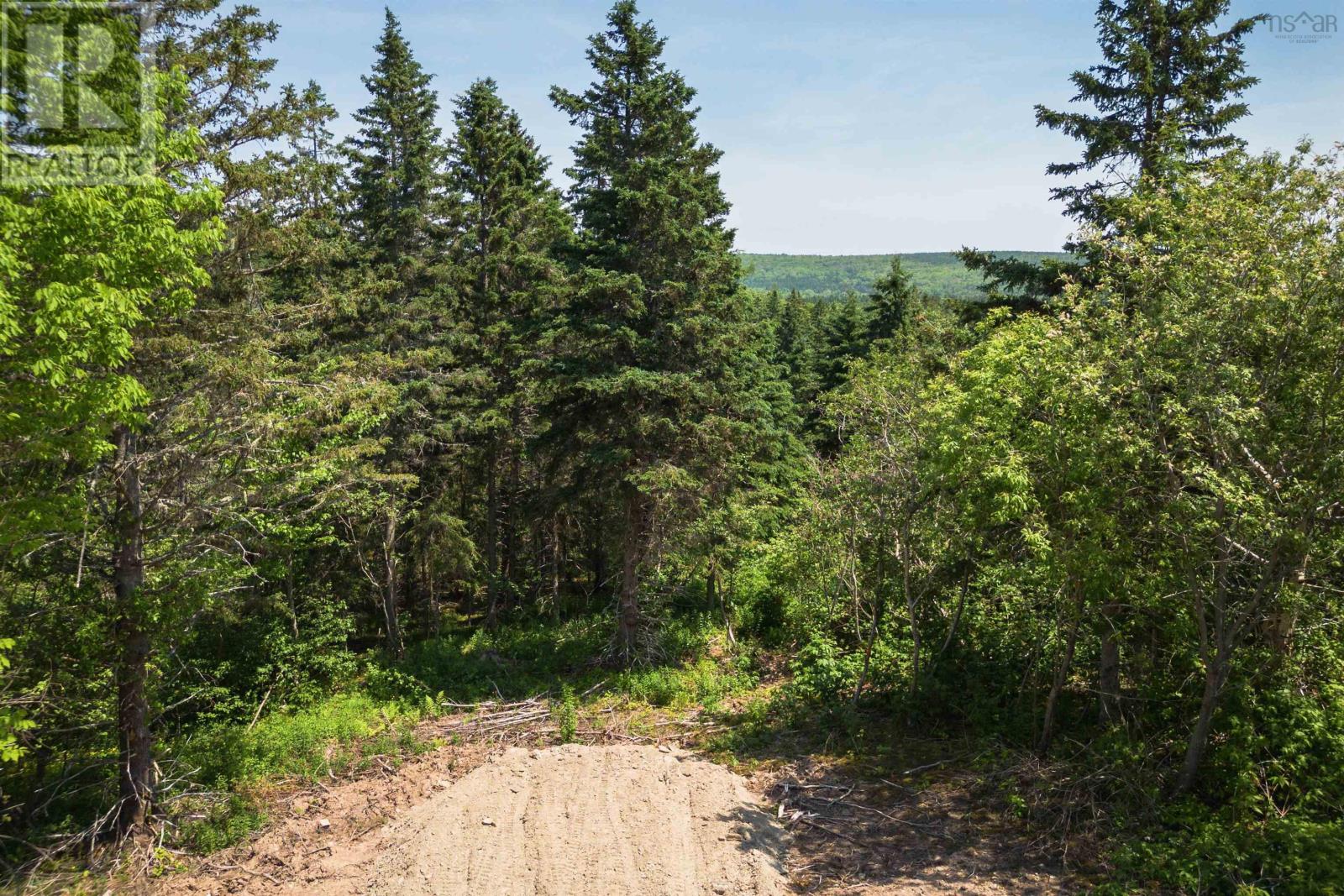 Lot 5 Highway 19, Hawleys Hill, Mabou, Nova Scotia  B0E 1X0 - Photo 2 - 202404219