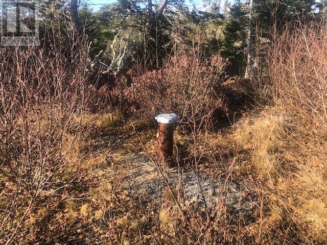 Lot 12 Jones Harbour Road, East Sable River, Nova Scotia  B0T 1V0 - Photo 4 - 202404237