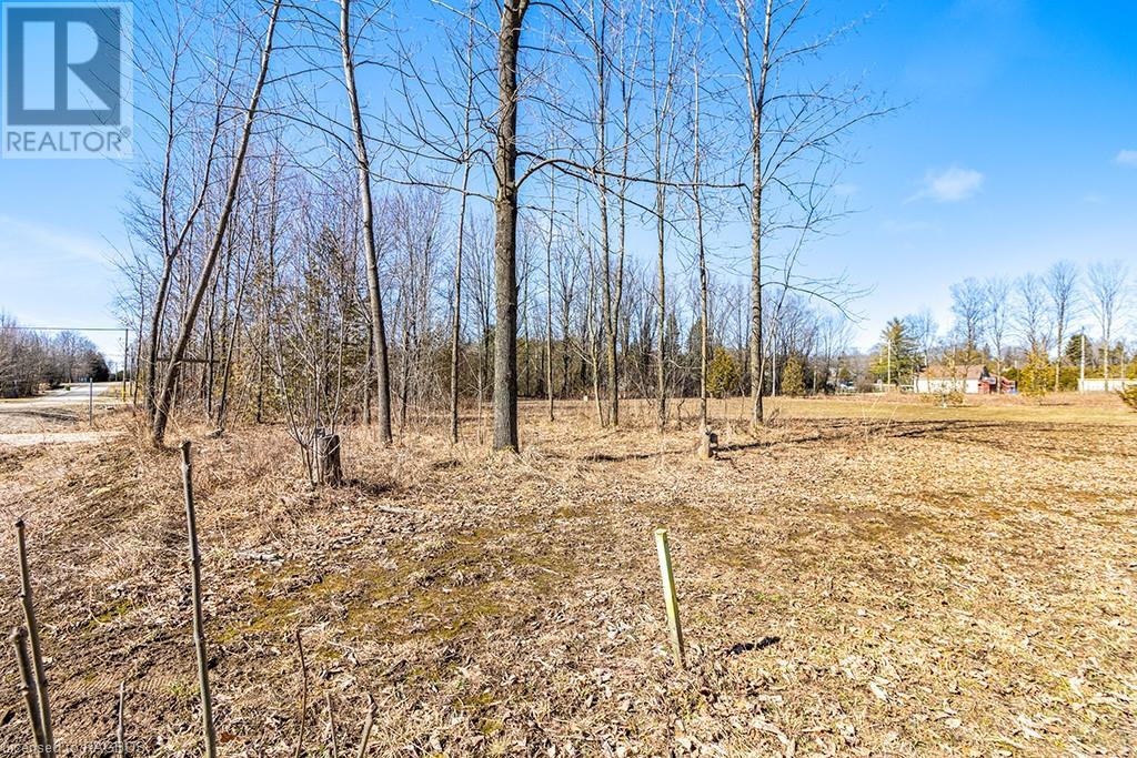 185 Raglan Street, Eugenia, Ontario  N0C 1E0 - Photo 4 - 40550383