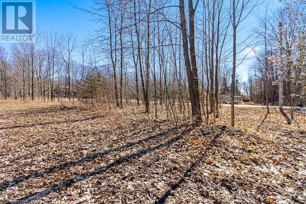185 Raglan Street, Eugenia, Ontario  N0C 1E0 - Photo 7 - 40550383