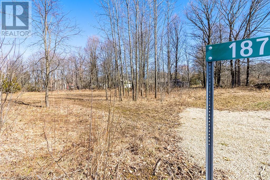 187 Raglan Street, Eugenia, Ontario  N0C 1E0 - Photo 8 - 40551451