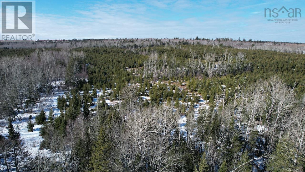 2764 Westchester Road, Westchester Mountain, Nova Scotia  B0M 1G0 - Photo 5 - 202404243