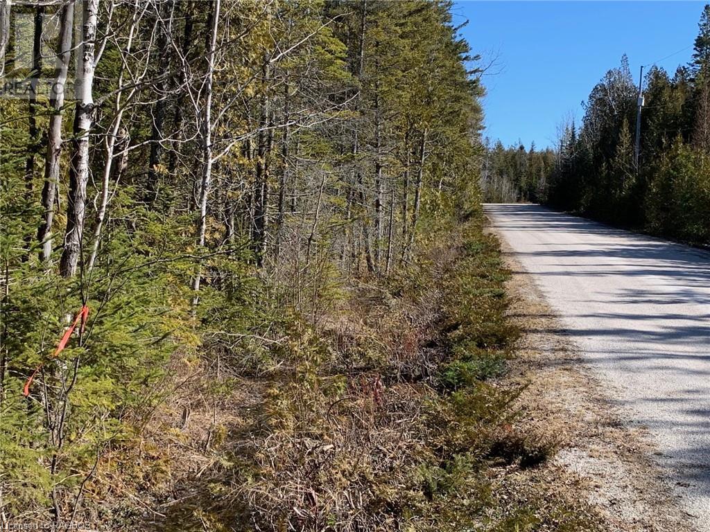 6 Dunn Street, Northern Bruce Peninsula, Ontario  N0H 1W0 - Photo 3 - 40549565