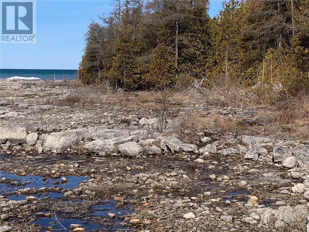 6 Dunn Street, Northern Bruce Peninsula, Ontario  N0H 1W0 - Photo 16 - 40549565