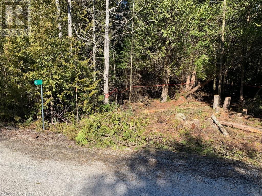 6 Dunn Street, Northern Bruce Peninsula, Ontario  N0H 1W0 - Photo 31 - 40549565