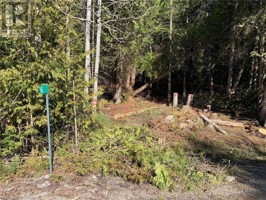 6 Dunn Street, Northern Bruce Peninsula, Ontario  N0H 1W0 - Photo 24 - 40549565