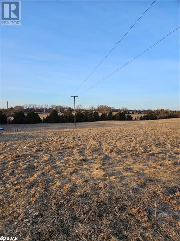 4249 River Road North, R.r. 4, Lakefield, Ontario  K0L 2H0 - Photo 8 - 40548610