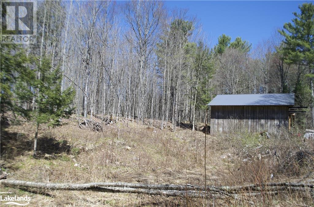Pt Lt 2 Highway 35, Minden, Ontario  K0M 2K0 - Photo 1 - 40550798