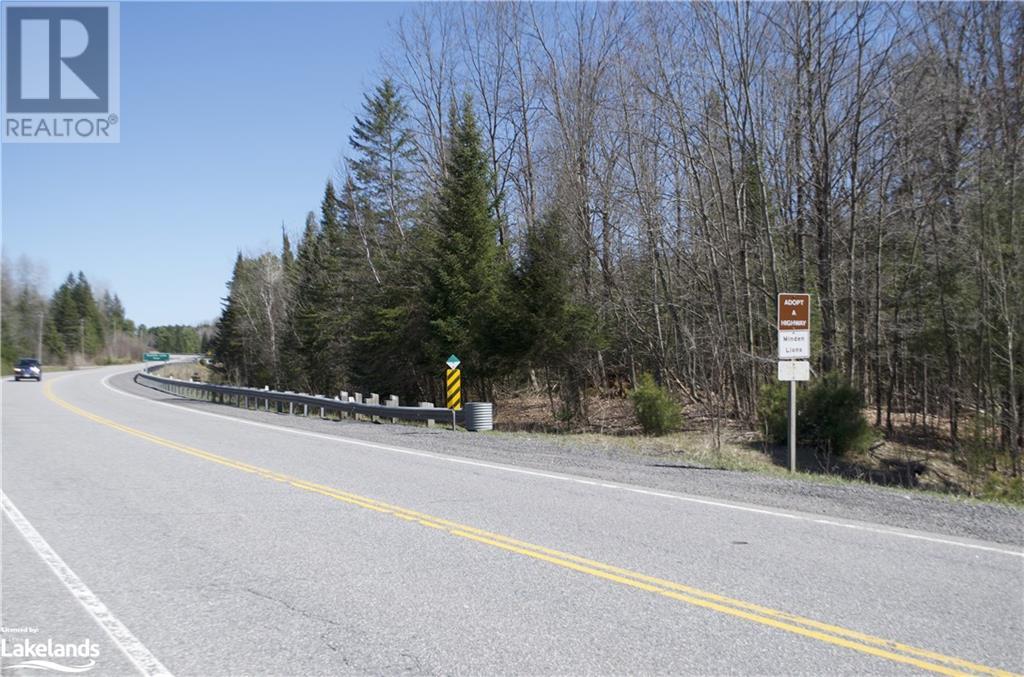 Pt Lt 2 Highway 35, Minden, Ontario  K0M 2K0 - Photo 3 - 40550798