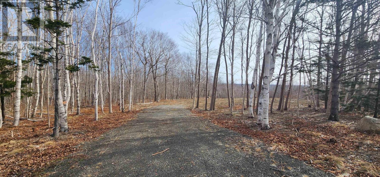 Lot M-1 Ridge Road, Acaciaville, Nova Scotia  B0V 1A0 - Photo 3 - 202404296