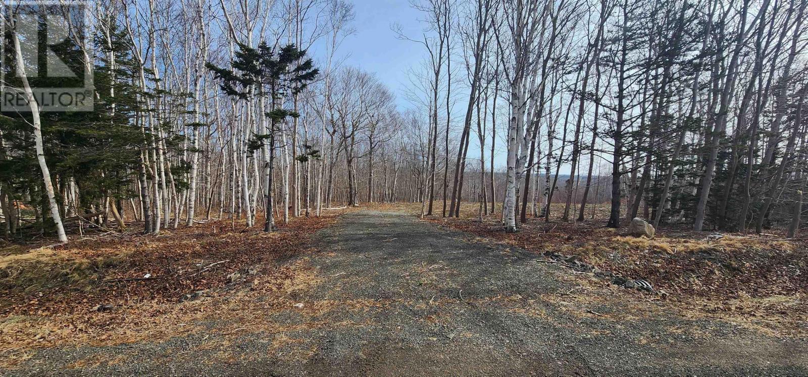 Lot M-1 Ridge Road, Acaciaville, Nova Scotia  B0V 1A0 - Photo 4 - 202404296