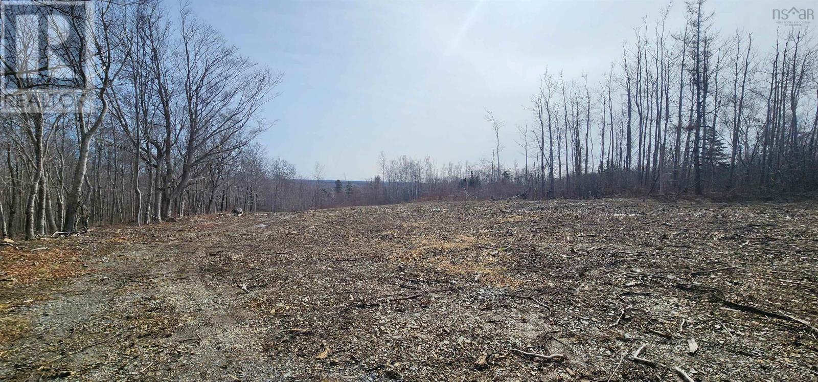 Lot M-1 Ridge Road, Acaciaville, Nova Scotia  B0V 1A0 - Photo 7 - 202404296