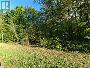 -- Parkhill Circle, North Lancaster, Ontario  K0C 1Z0 - Photo 2 - 1379240