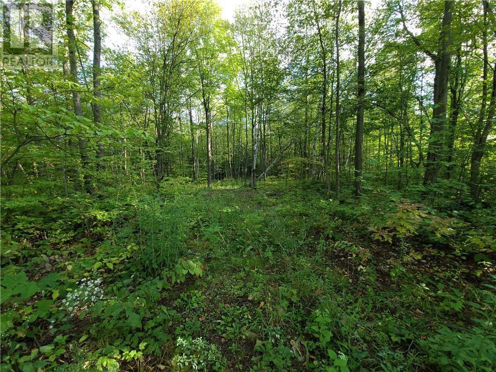 -- Parkhill Circle, North Lancaster, Ontario  K0C 1Z0 - Photo 3 - 1379240