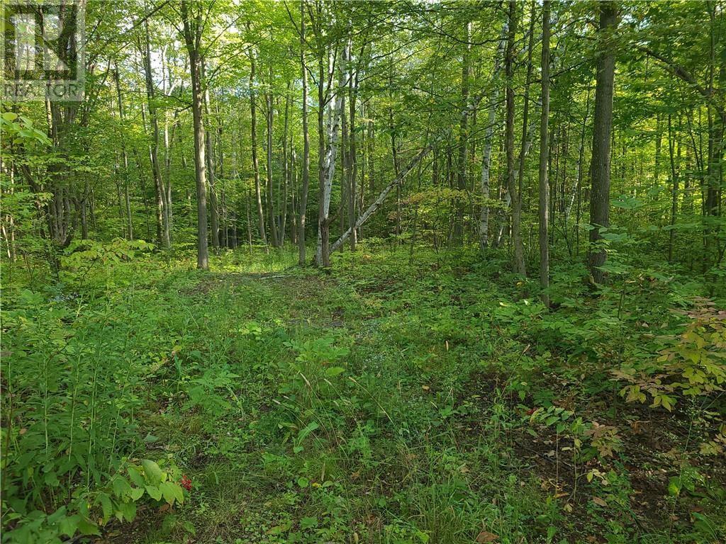 -- Parkhill Circle, North Lancaster, Ontario  K0C 1Z0 - Photo 4 - 1379240