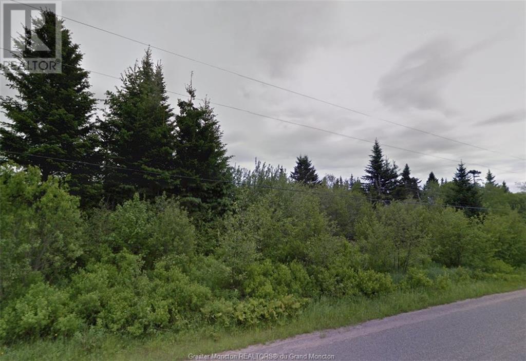 Lot New Horton, New Horton, New Brunswick  E4H 3S7 - Photo 1 - M157850