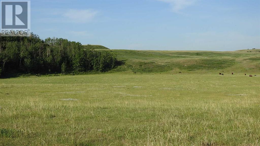 86 Acres On Highwood Rive E- 16-21-28 W4, Rural Foothills County, Alberta  T0L 1B0 - Photo 2 - A2081265
