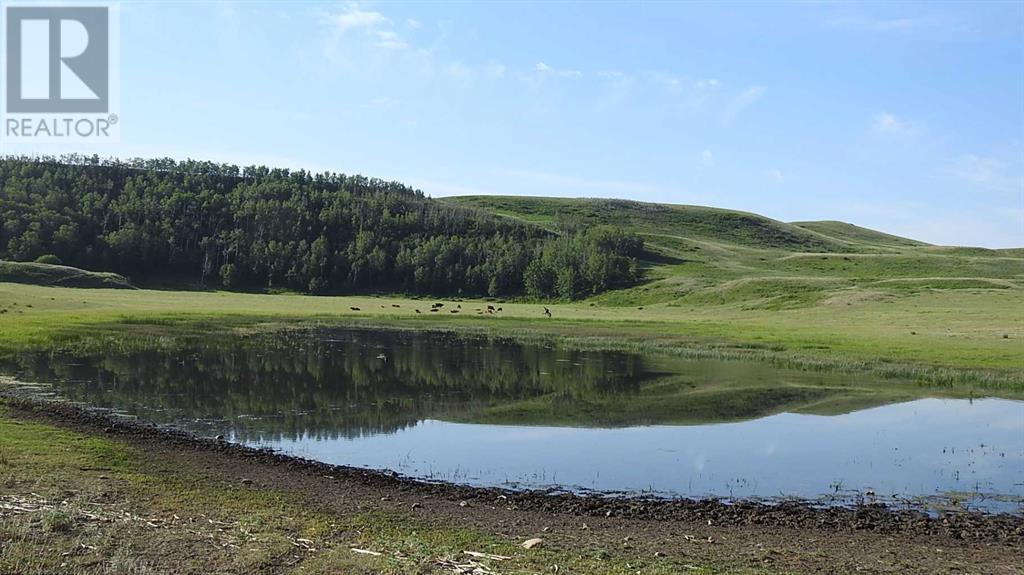 86 Acres On Highwood Rive E- 16-21-28 W4, Rural Foothills County, Alberta  T0L 1B0 - Photo 14 - A2081265